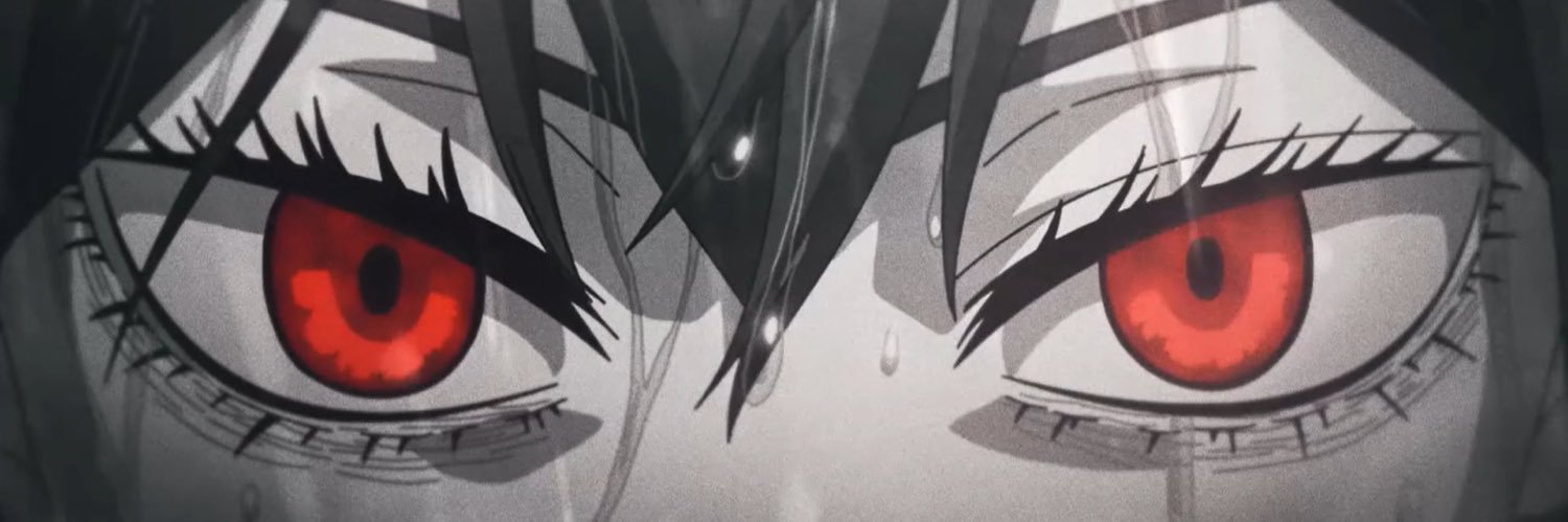 raphaelvlc's profile banner image