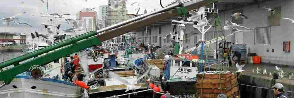 Luis Taboada Antelo banner