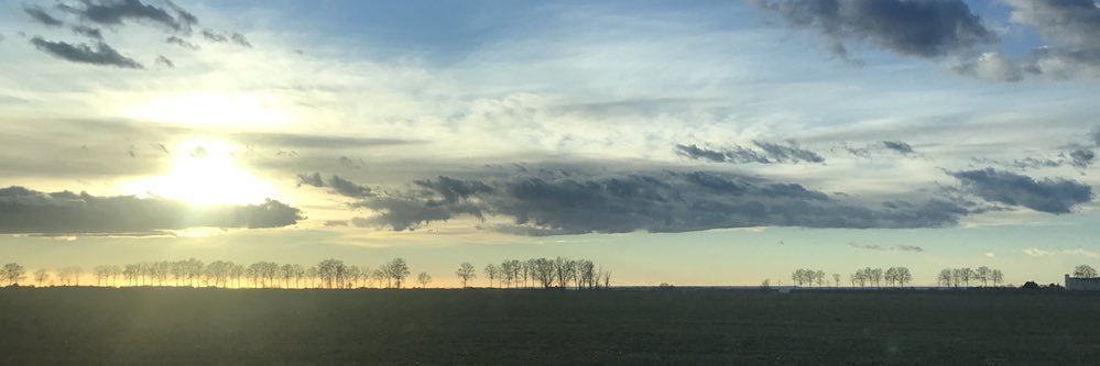 Laura Batalla banner