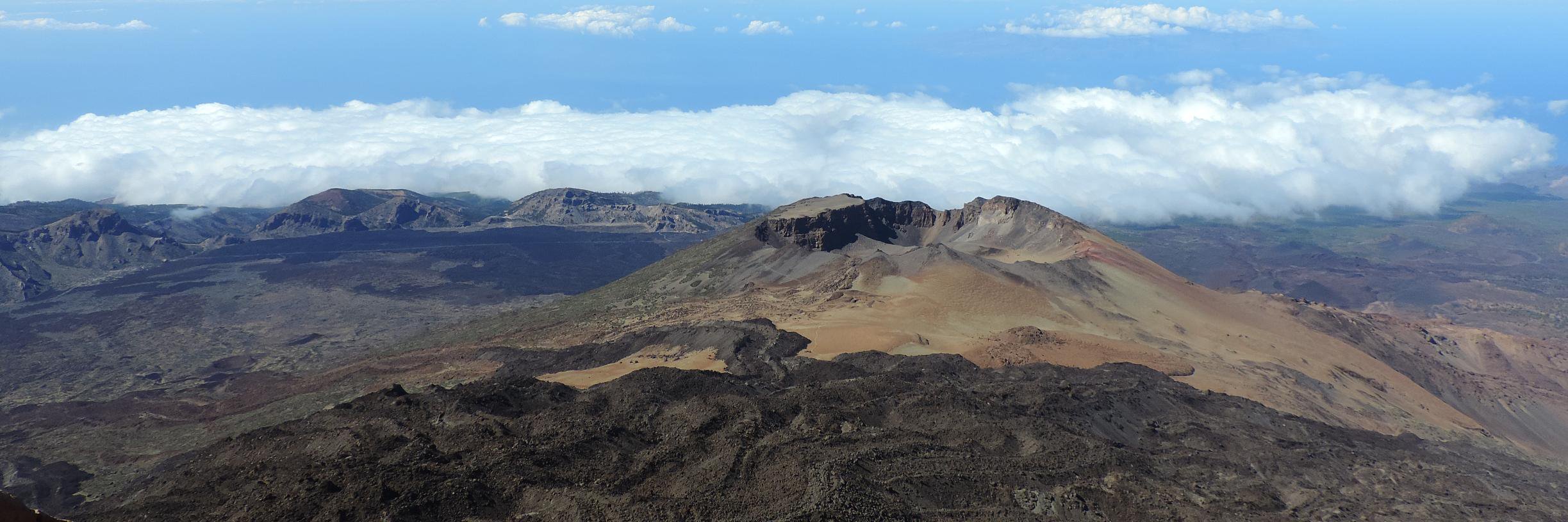 Tara Stephens banner