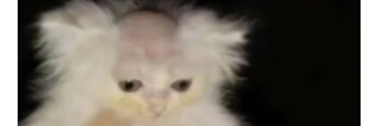 AnasLife101's profile banner image