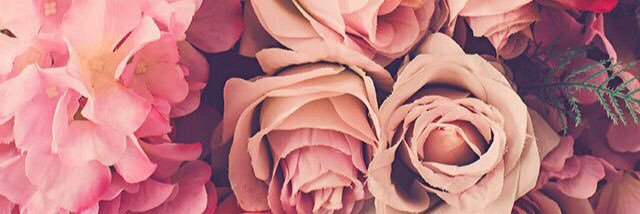 ericabrierley's profile banner image