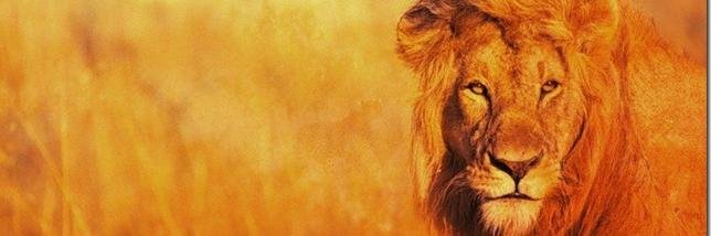 mdmoros's profile banner image