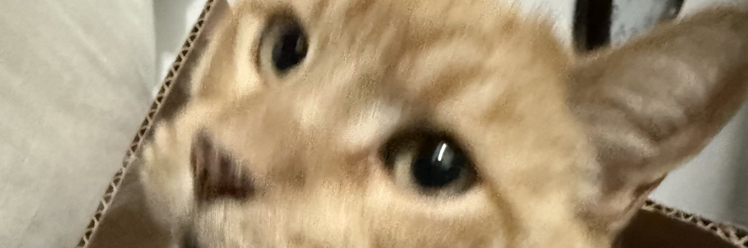 israOne_'s profile banner image