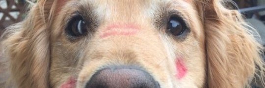 ΜΑΤΘΑΙΟΠΟΥΛΟΥ ΓΙΟΥΛΗ's banner