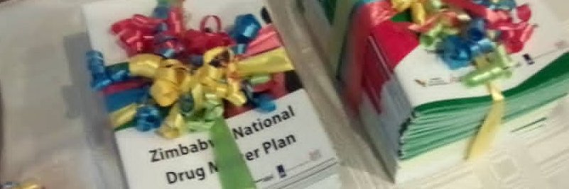 Zimbabwe Civil Liber banner