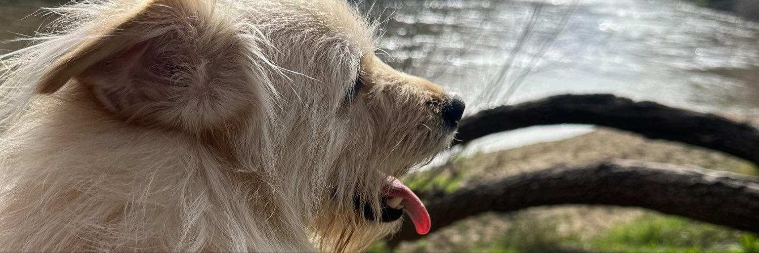 NicoPretti9's profile banner image