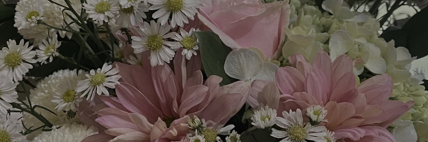 nadaslsblptr's profile banner image
