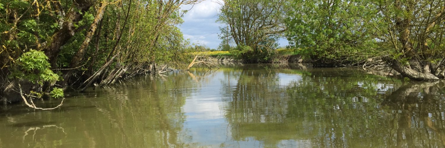 Laure Pichereau banner