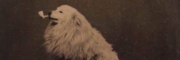 LGarrett3170's profile banner image