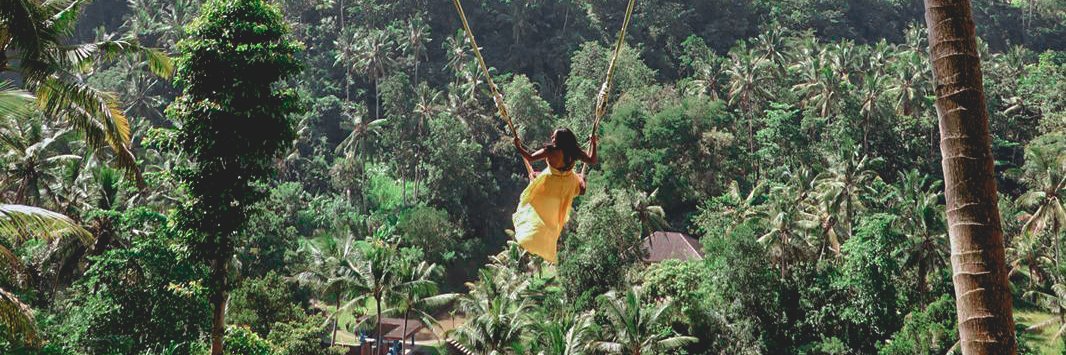 Aarthy 🗻🌲 banner