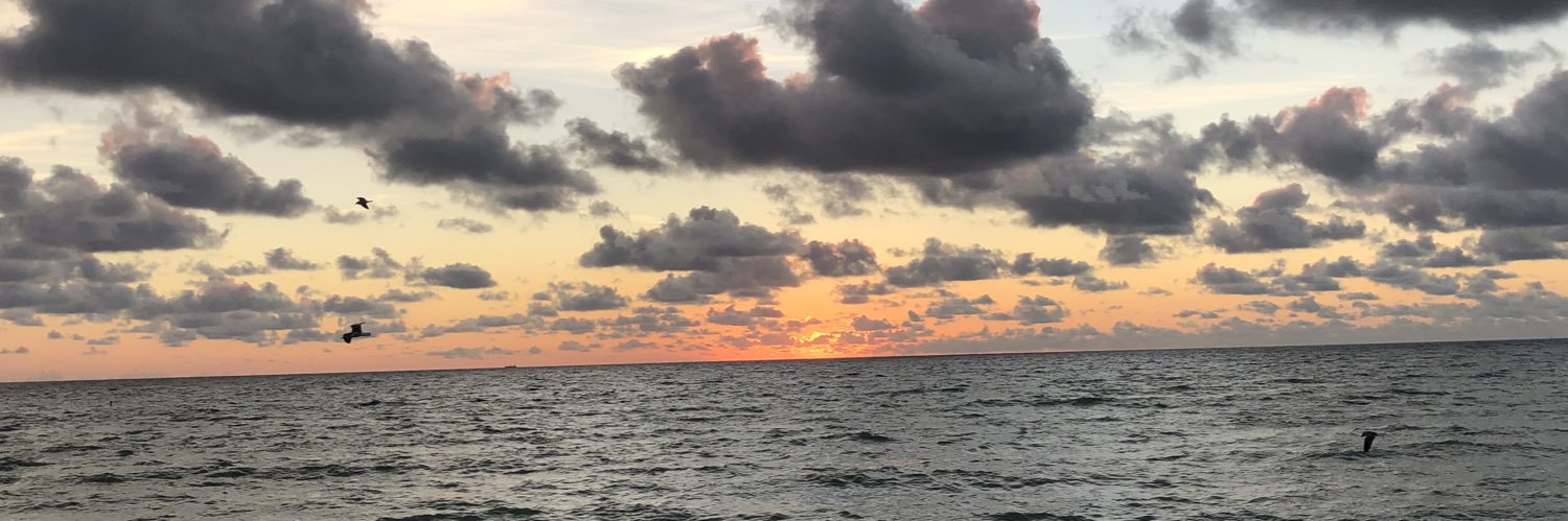 chickenjoe96's profile banner image