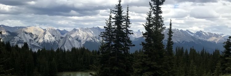 japestill's profile banner image