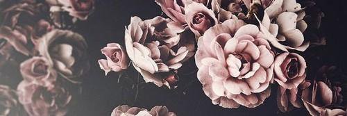 Melanirms's profile banner image