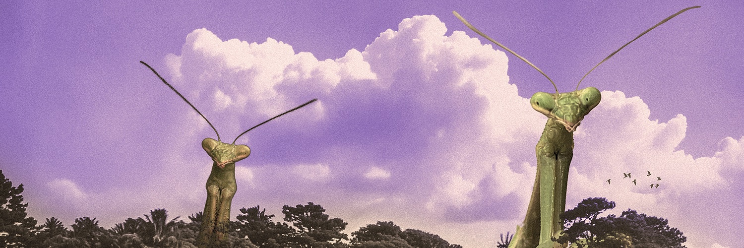 semihdelil's profile banner image