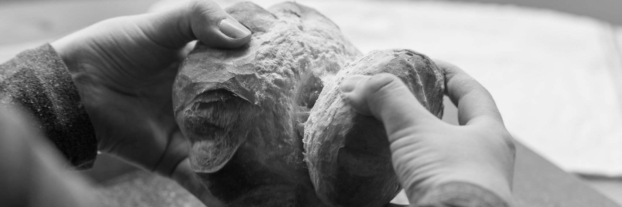 doughtastic's profile banner image