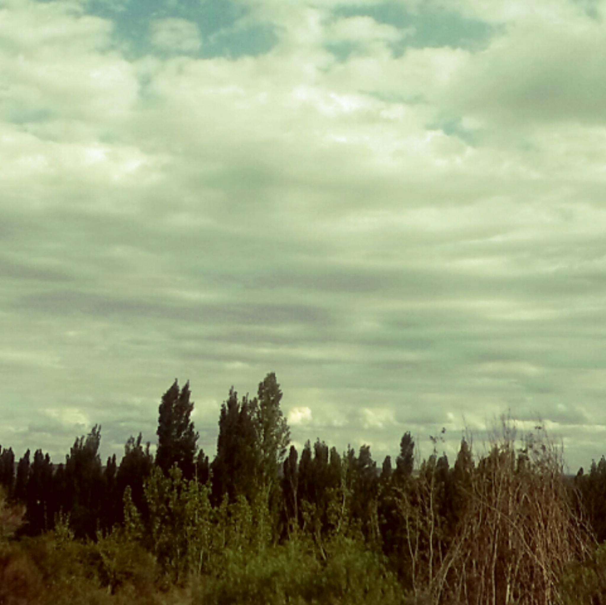 ayula_93's profile banner image