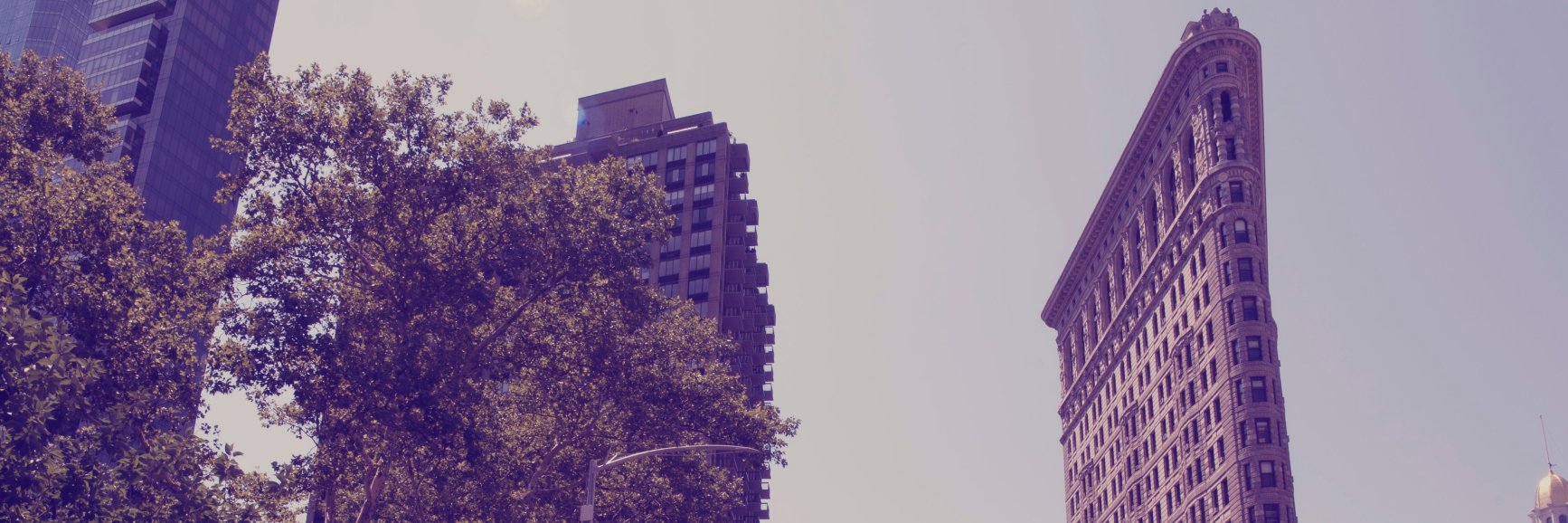 Ed Cuervo banner