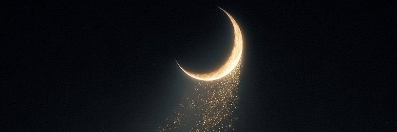 R_e__15's profile banner image