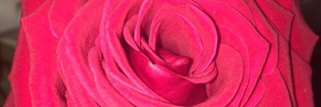Its_OnlyAdriana's profile banner image