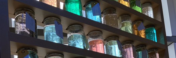 MsWhiteTPS Profile Banner