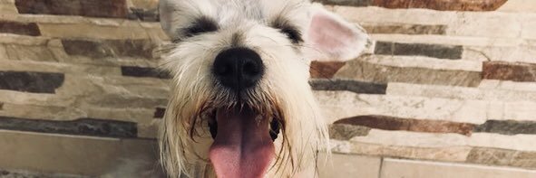 GeraldineHp's profile banner image
