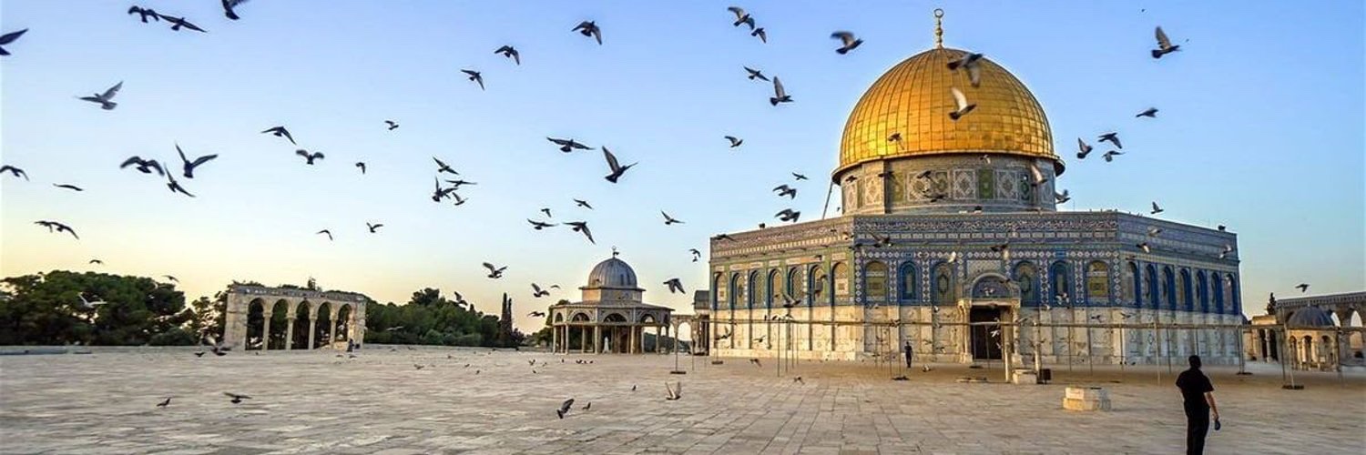 1804Nour's profile banner image