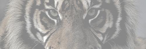 erinmdgn's profile banner image