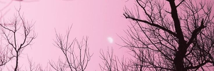 keemjisoo's profile banner image