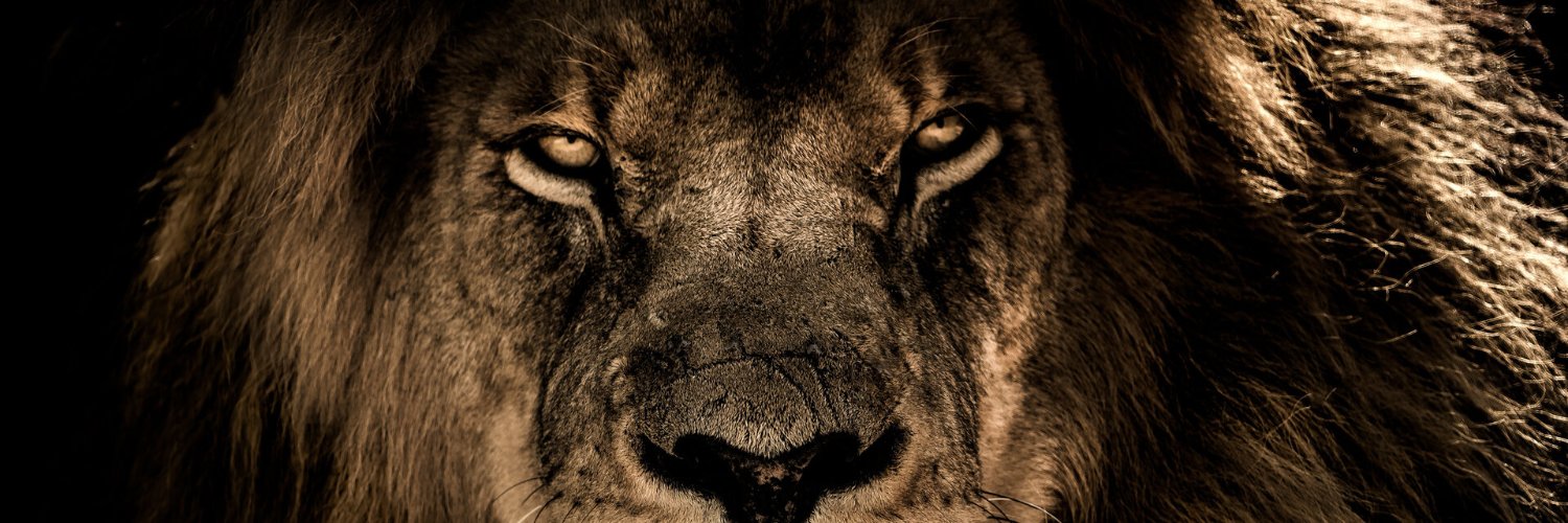 arbicon's profile banner image