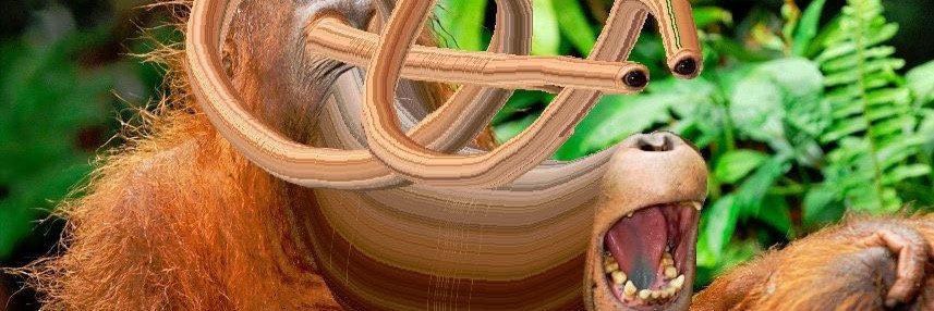 CraftToTheBob's profile banner image