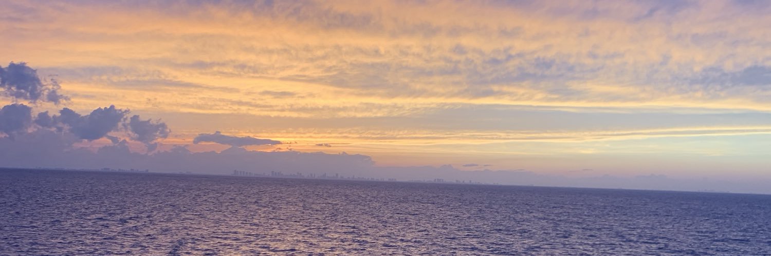 T_413's profile banner image
