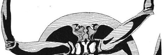 timeworm banner