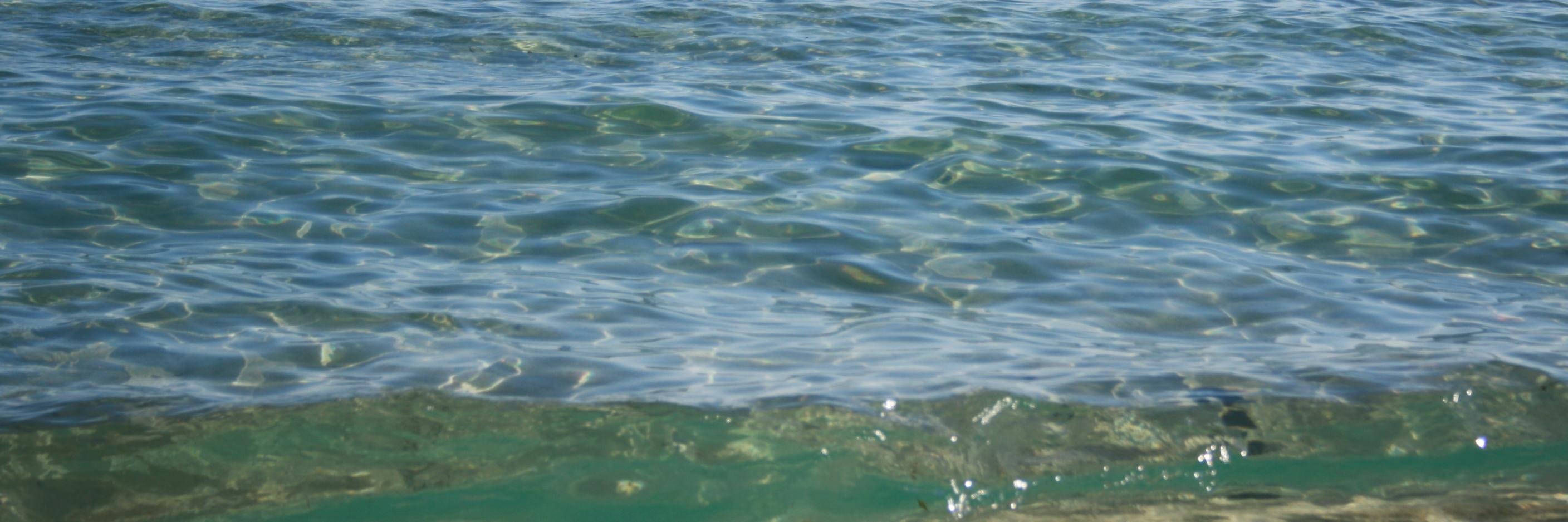 Massimo_Barbaro's profile banner image