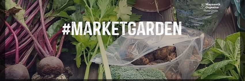 MaynoothOrganic's profile banner image