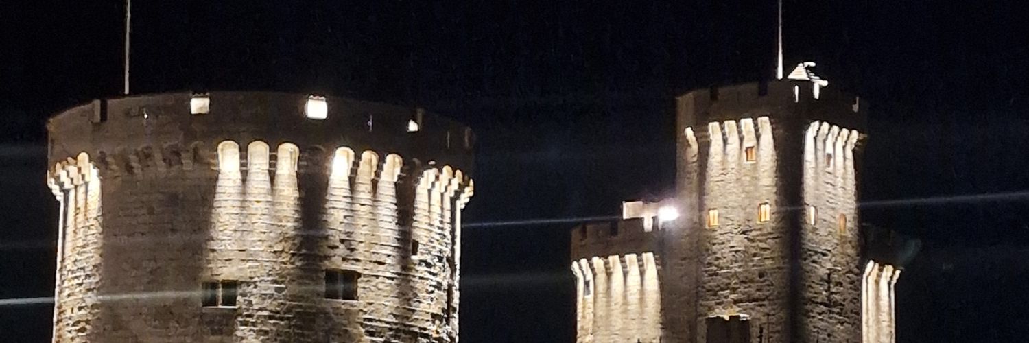 fabrice brivady banner