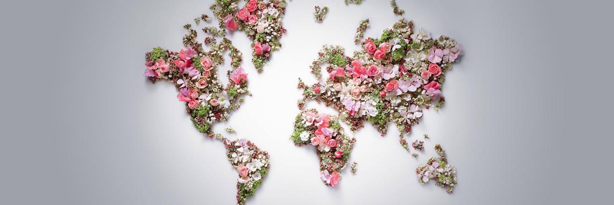 Chaaynah's profile banner image