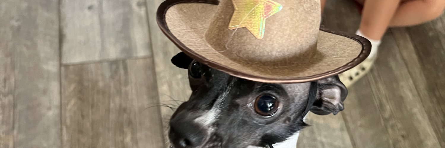 chloeeeehoward's profile banner image