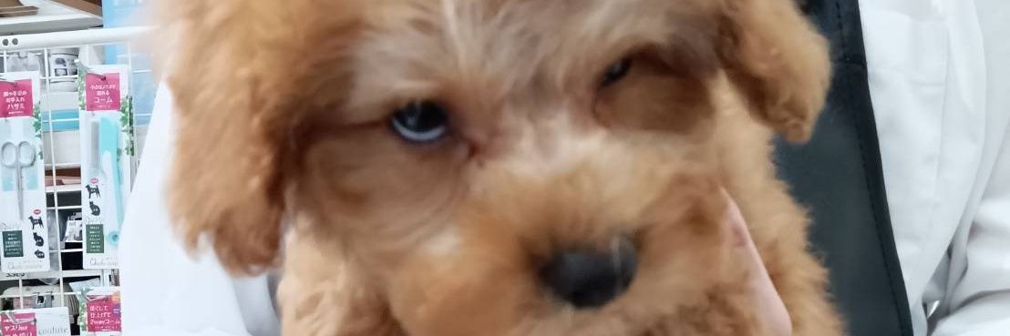 Im___ShoooN's profile banner image