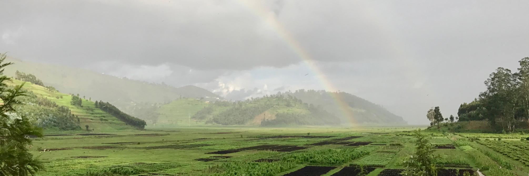 RwandaRob's profile banner image