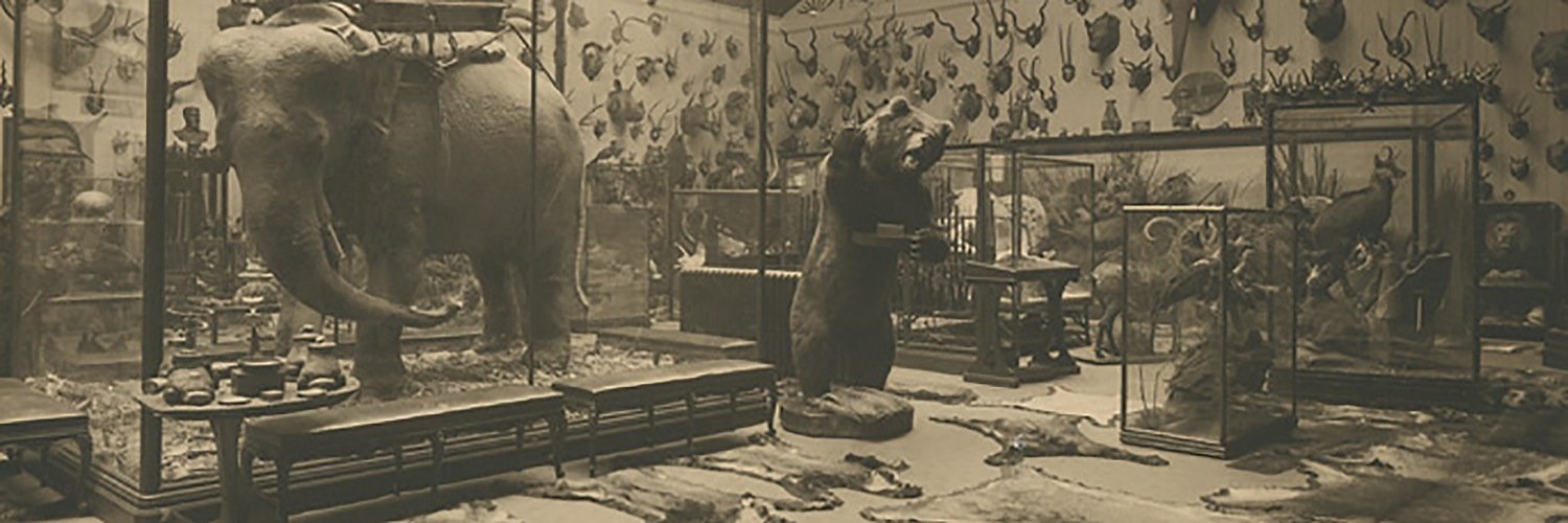 NaturalHistoryMuseum banner
