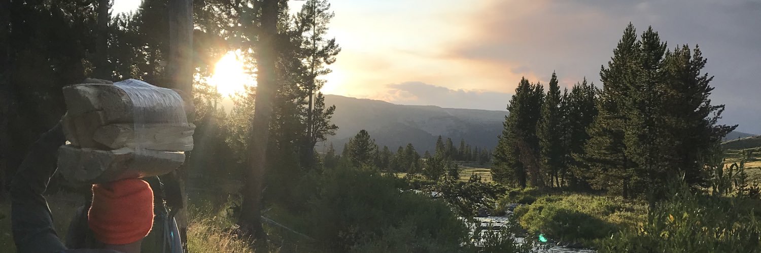 __shwilliam's profile banner image