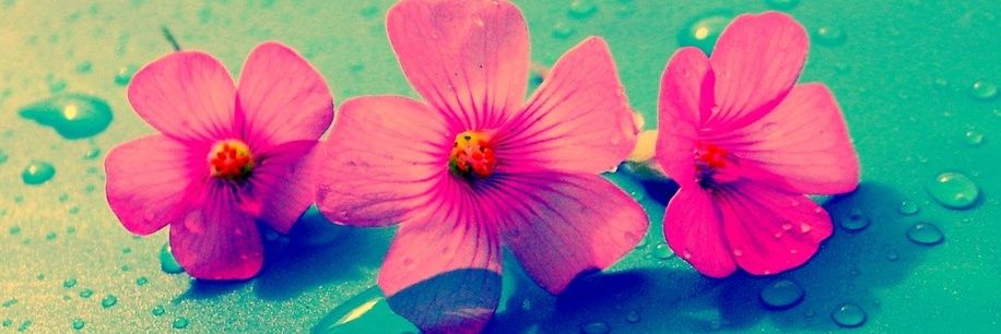 ~Luciana Miranda banner