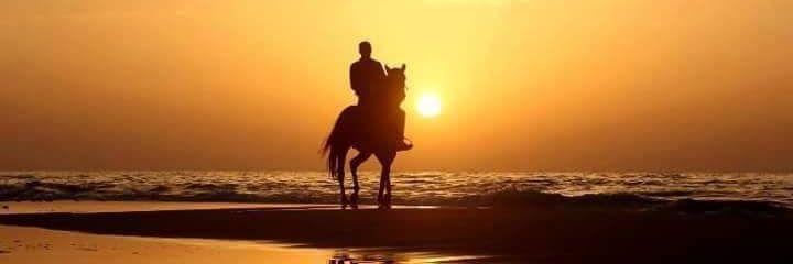 BeegMarwan's profile banner image