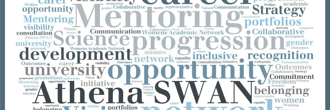 WMSWomen's profile banner image