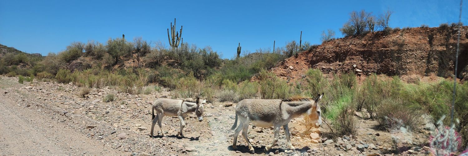 VapingLikeCrazyInAZ banner