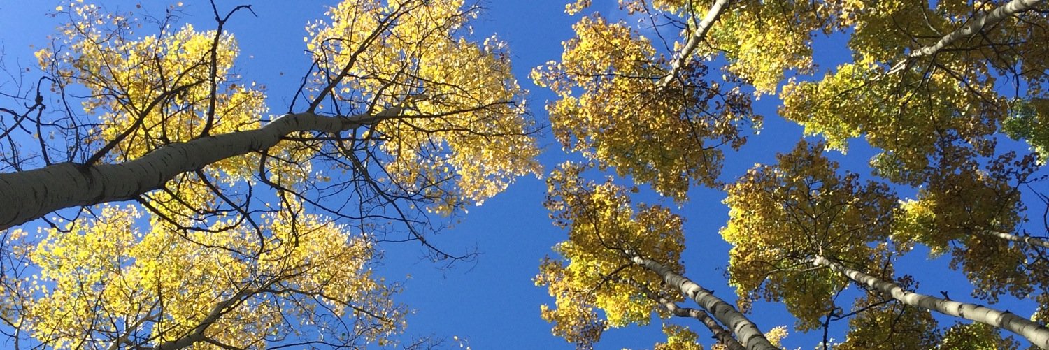 Clboers's profile banner image