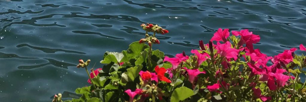 lyan533's profile banner image