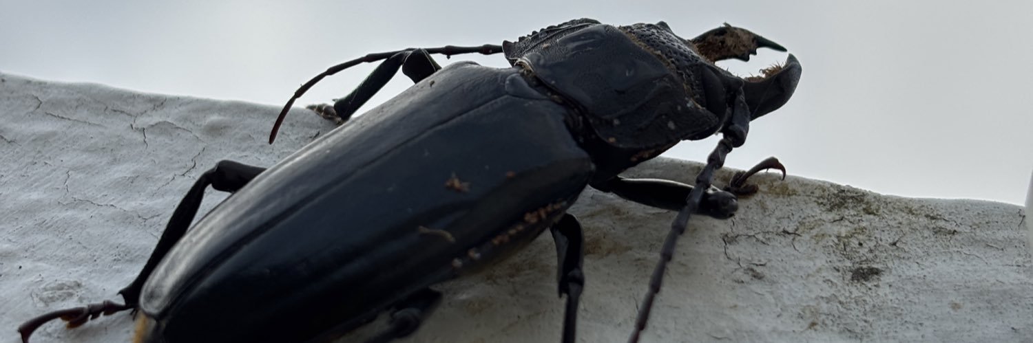 danytwit's profile banner image