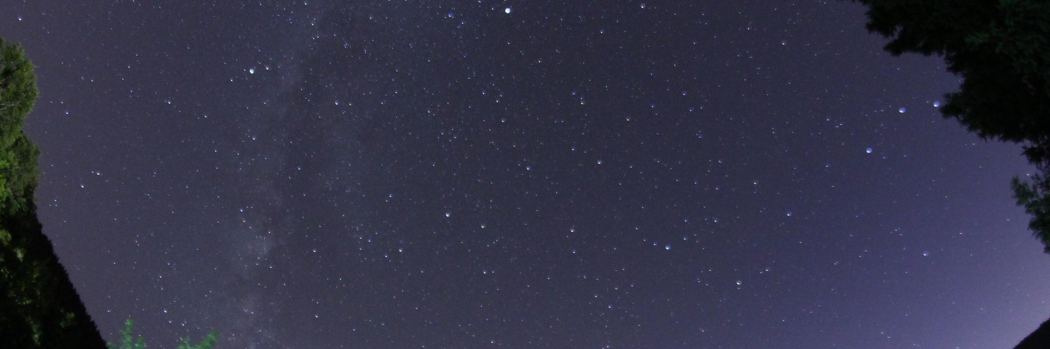 Thibault Coupin banner